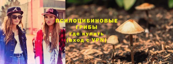 прущая мука Корсаков